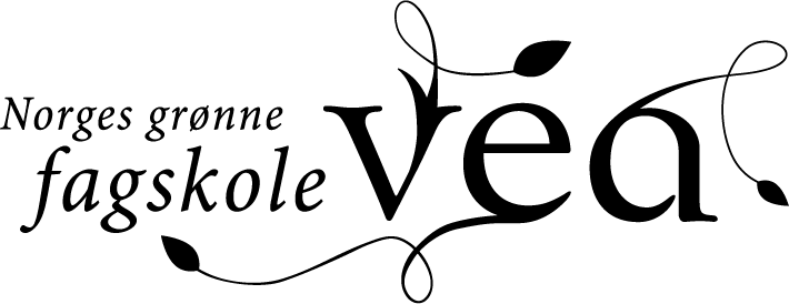 Kurs Vea FS